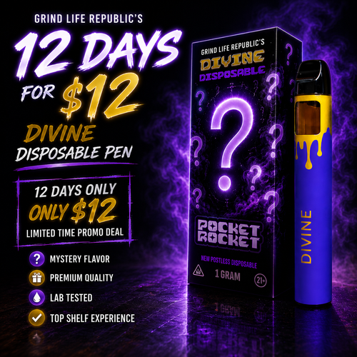 Mystery Divine 1G Disposable